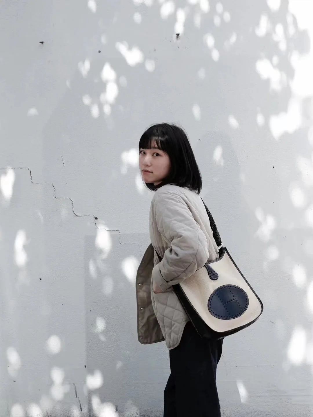 Evelyne Bag Gen I Toile and Leather PM